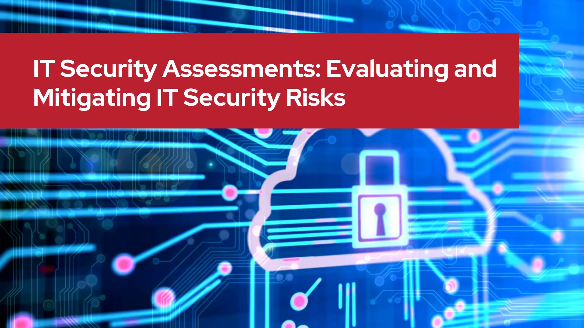 IT Security Assessments: Evaluating and Mitigating IT Security Risks