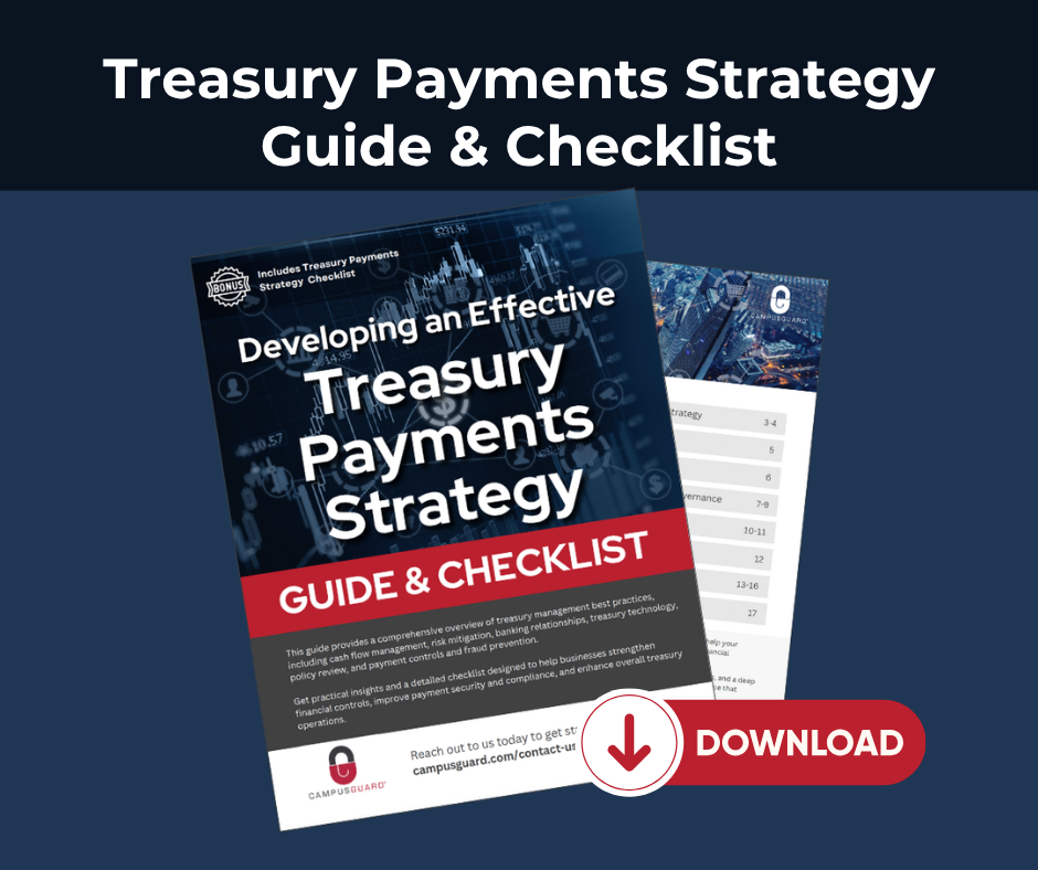Treasury Payments Strategy Guide