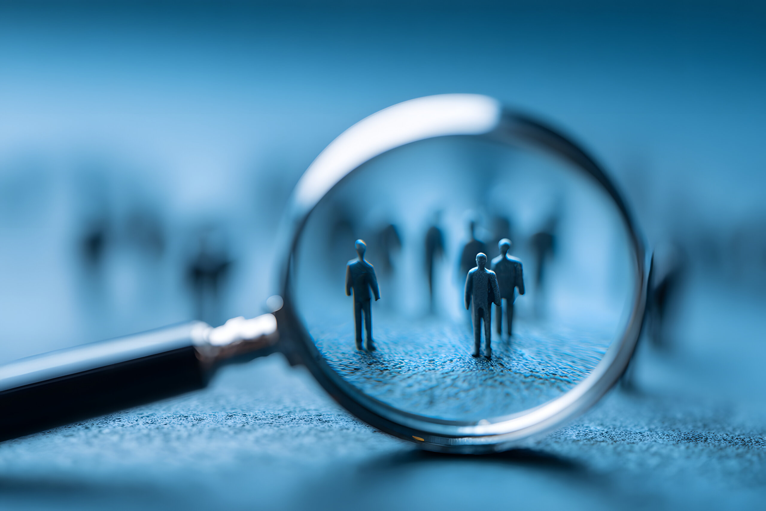 employment verification